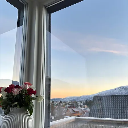 Holiday home House In Troms Center With An Amazing View Tromso
